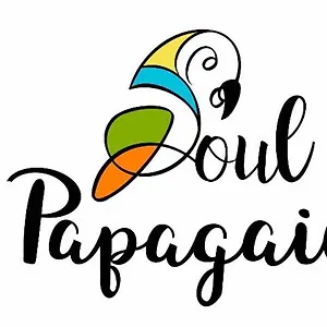  Apartamento Soul Papagaio Brasil